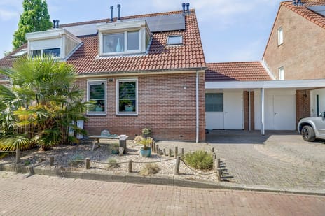 undefined main image