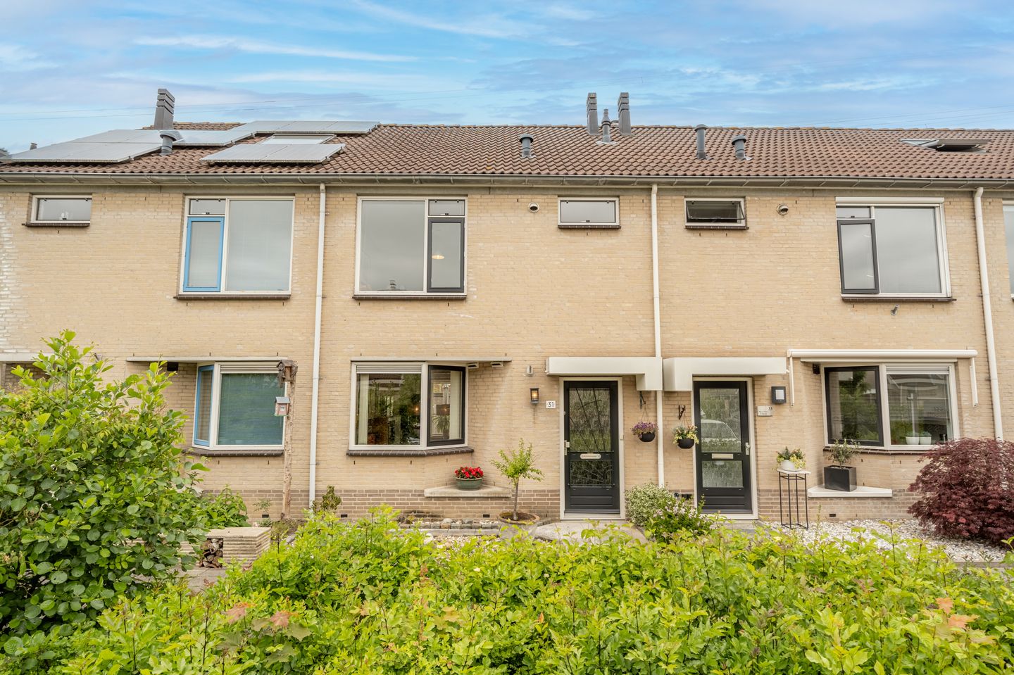 Photo 59 of Klaverruiter 31