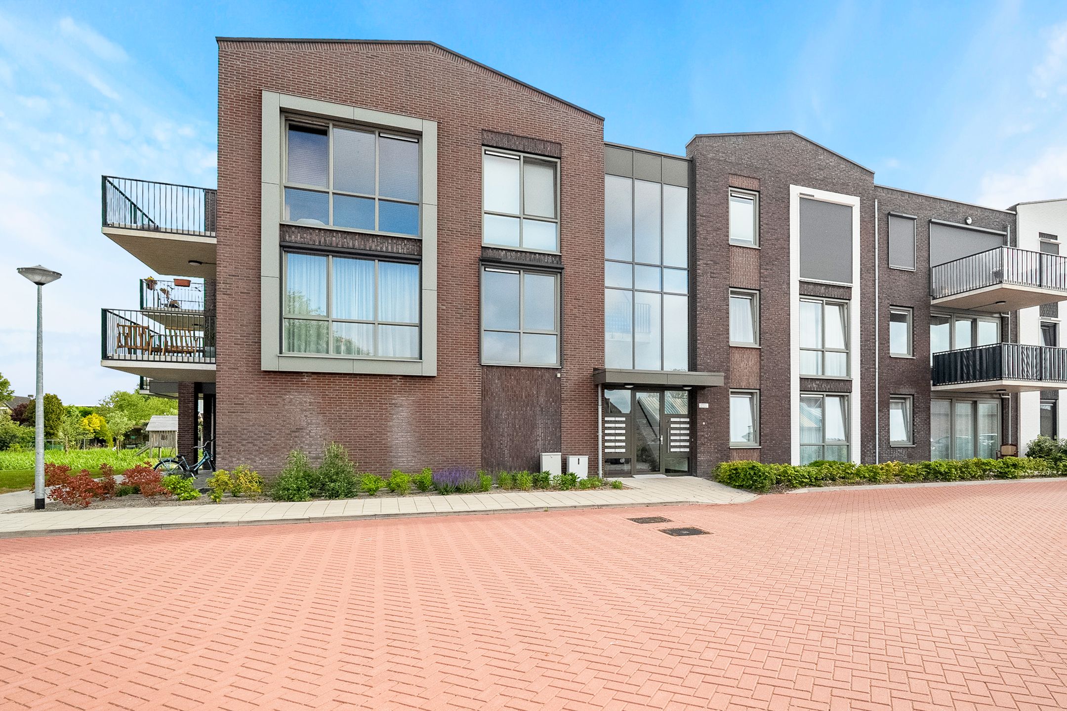 Foto 6 van Lenteklokje 9