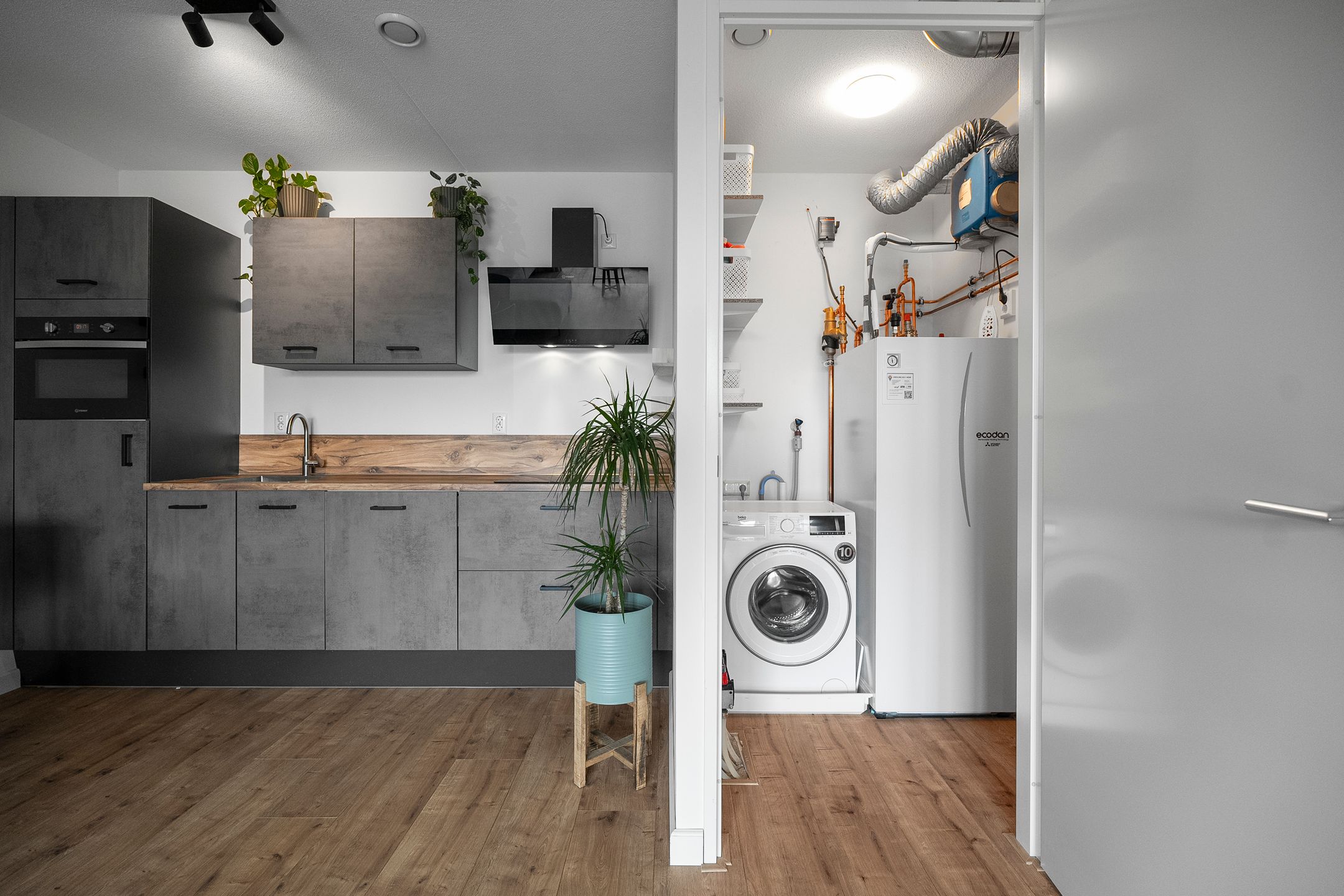 Foto 18 van Lenteklokje 9