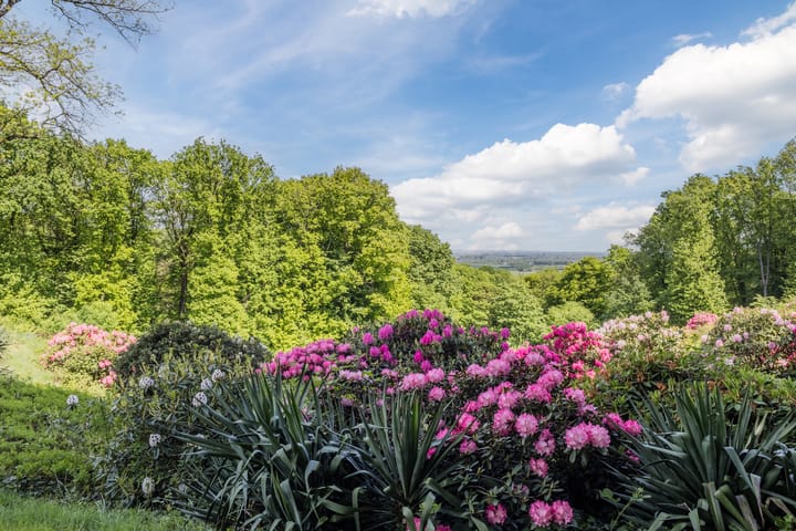 Foto 39 van Oude Kleefsebaan 183