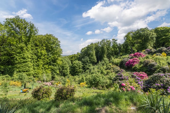 Foto 40 van Oude Kleefsebaan 183