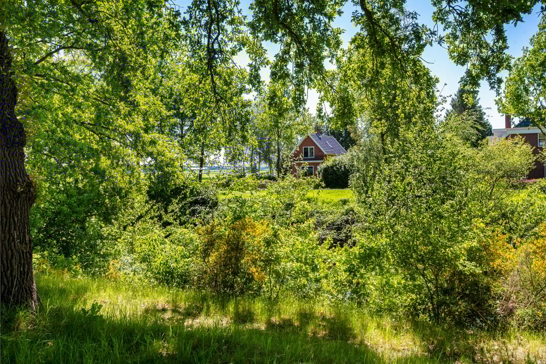 Foto 41 van Oranjekanaal ZZ 30