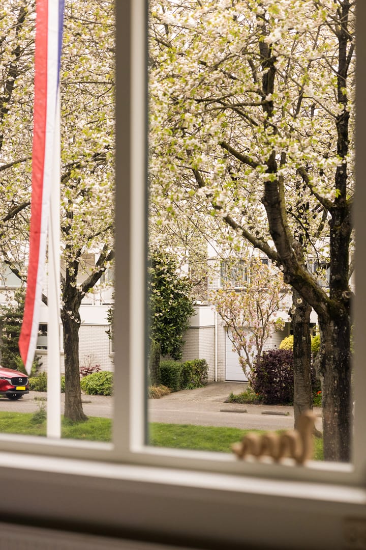 Foto 31 van Jacobus van Vessemsingel 21