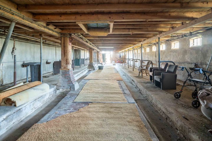 Foto 30 van Wynser Binnepaed 11