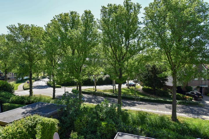 Foto 27 van Kievit 3