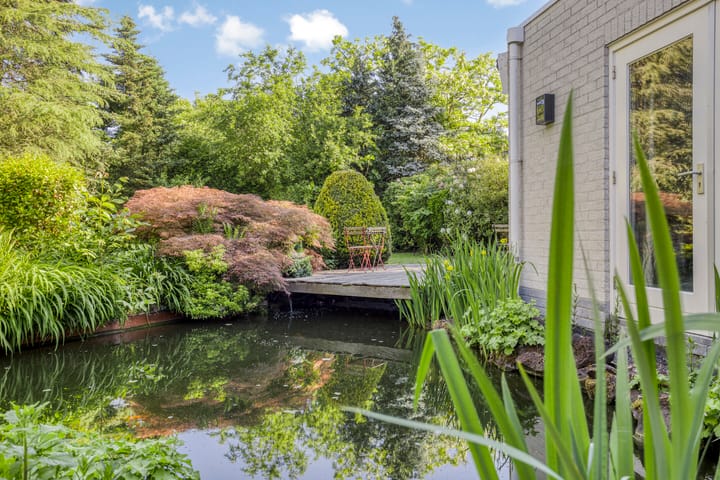 Foto 65 van Rijnstraat 18