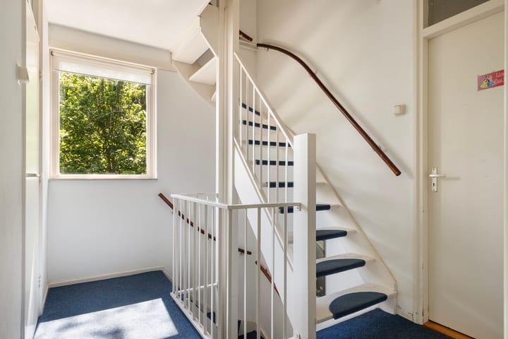 Foto 15 van Elzenoord 15