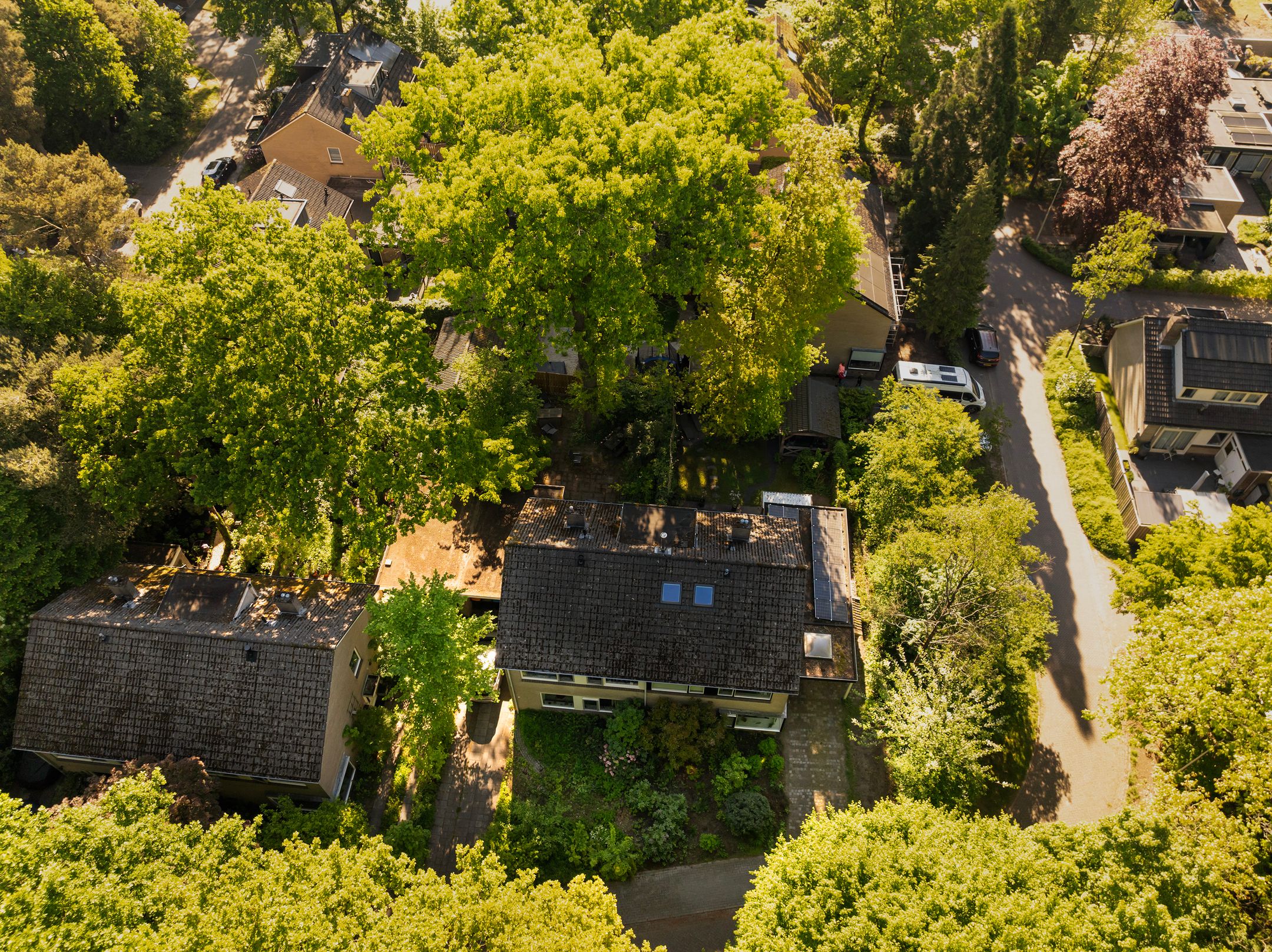 Foto 27 van Elzenoord 15