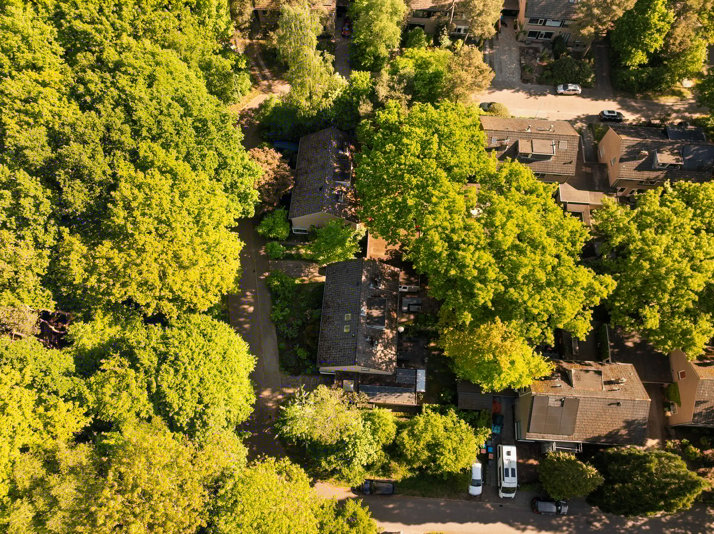 Foto 29 van Elzenoord 15