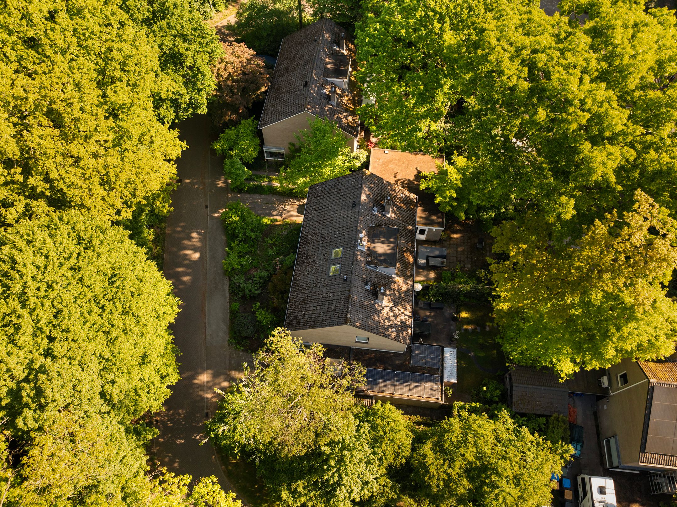 Foto 30 van Elzenoord 15