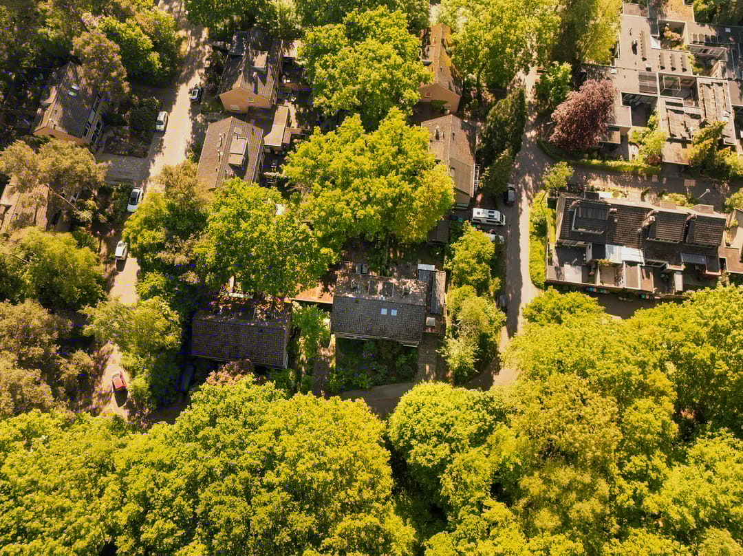 Foto 31 van Elzenoord 15