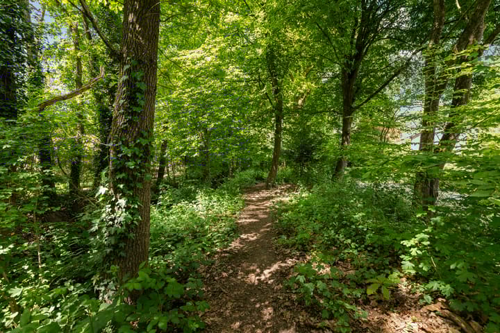 Foto 32 van Elzenoord 15