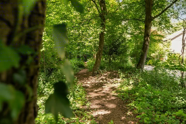 Foto 33 van Elzenoord 15