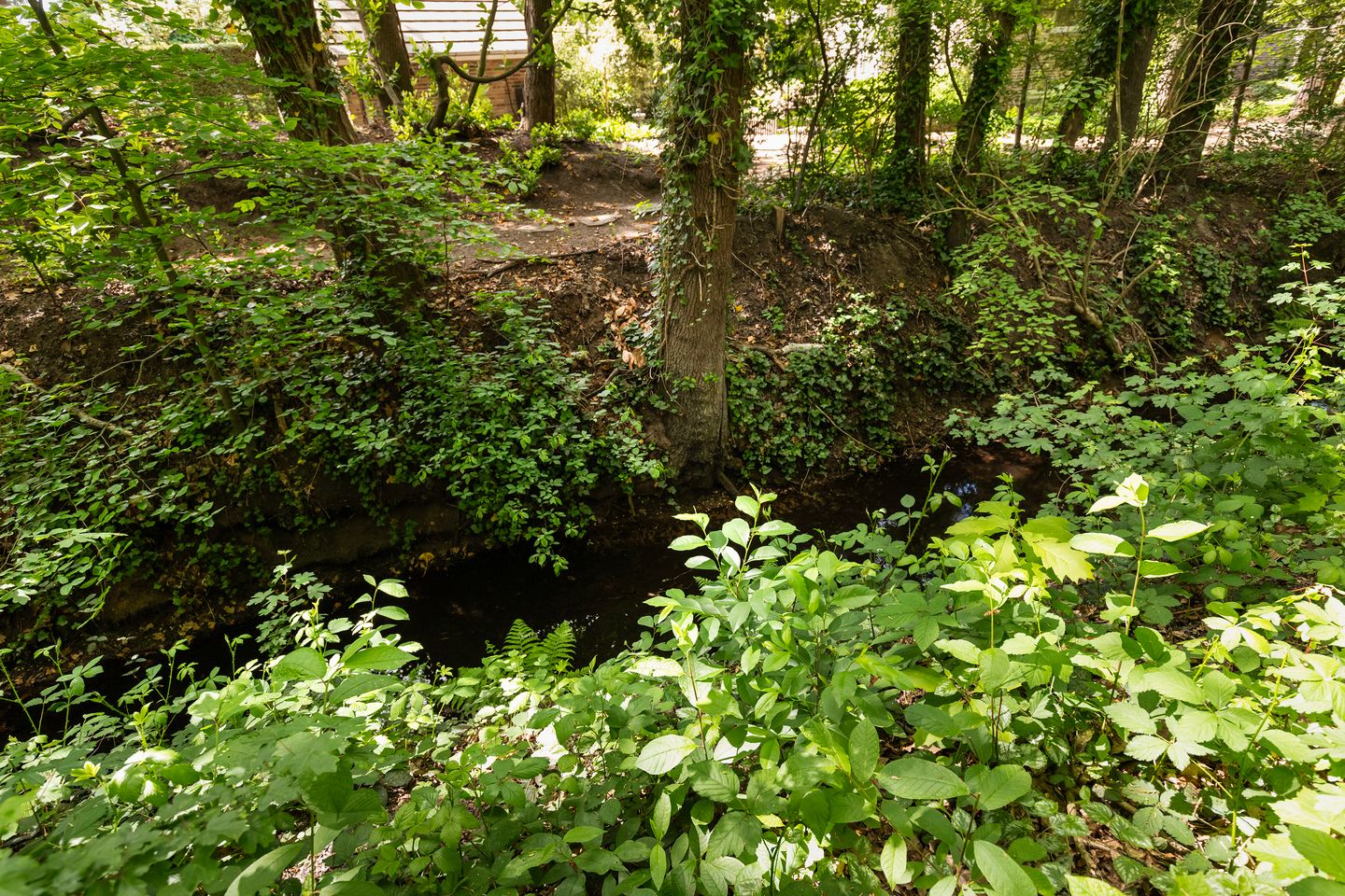 Foto 34 van Elzenoord 15