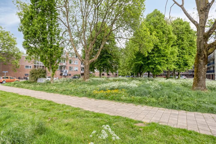 Foto 36 van Berkenlaan 44