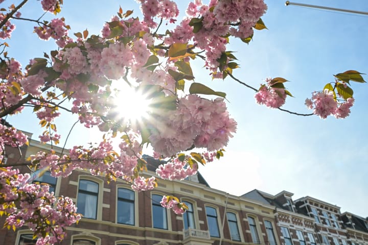 Foto 56 van 1e Sweelinckstraat 68