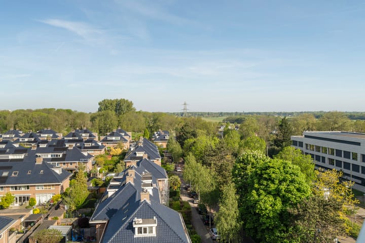 Foto 21 van Buizerdlaan 29