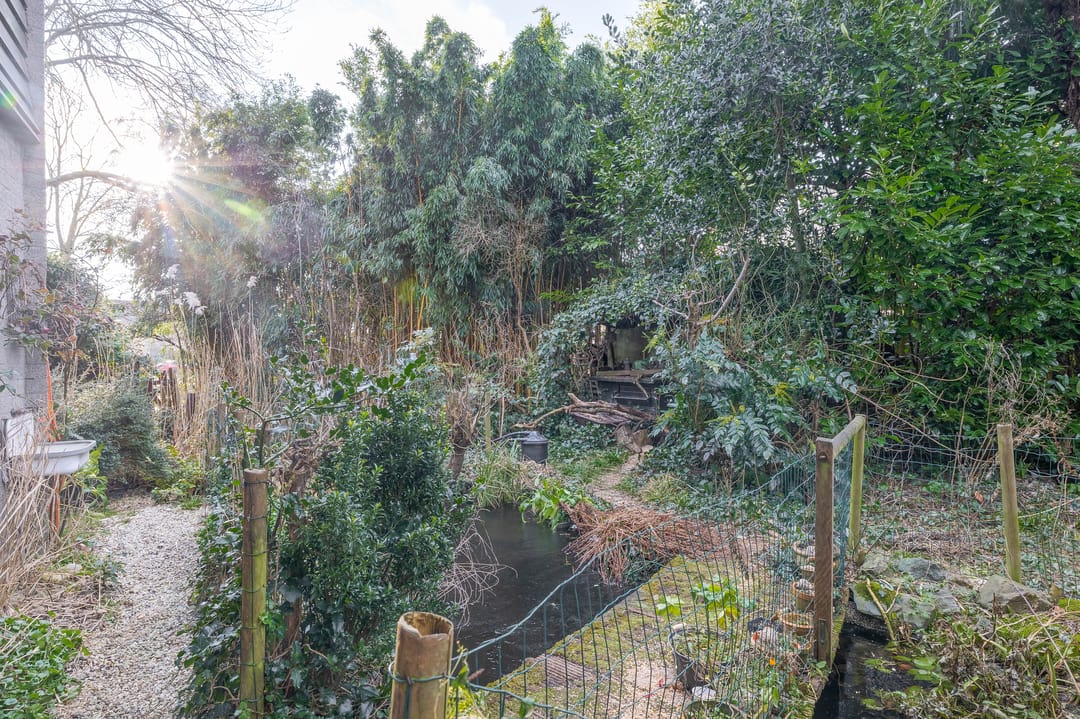 Foto 11 van Valeriaan 13