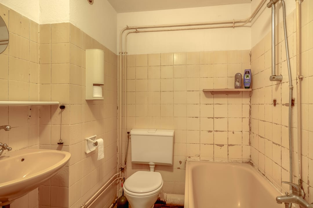 Foto 17 van Valeriaan 13