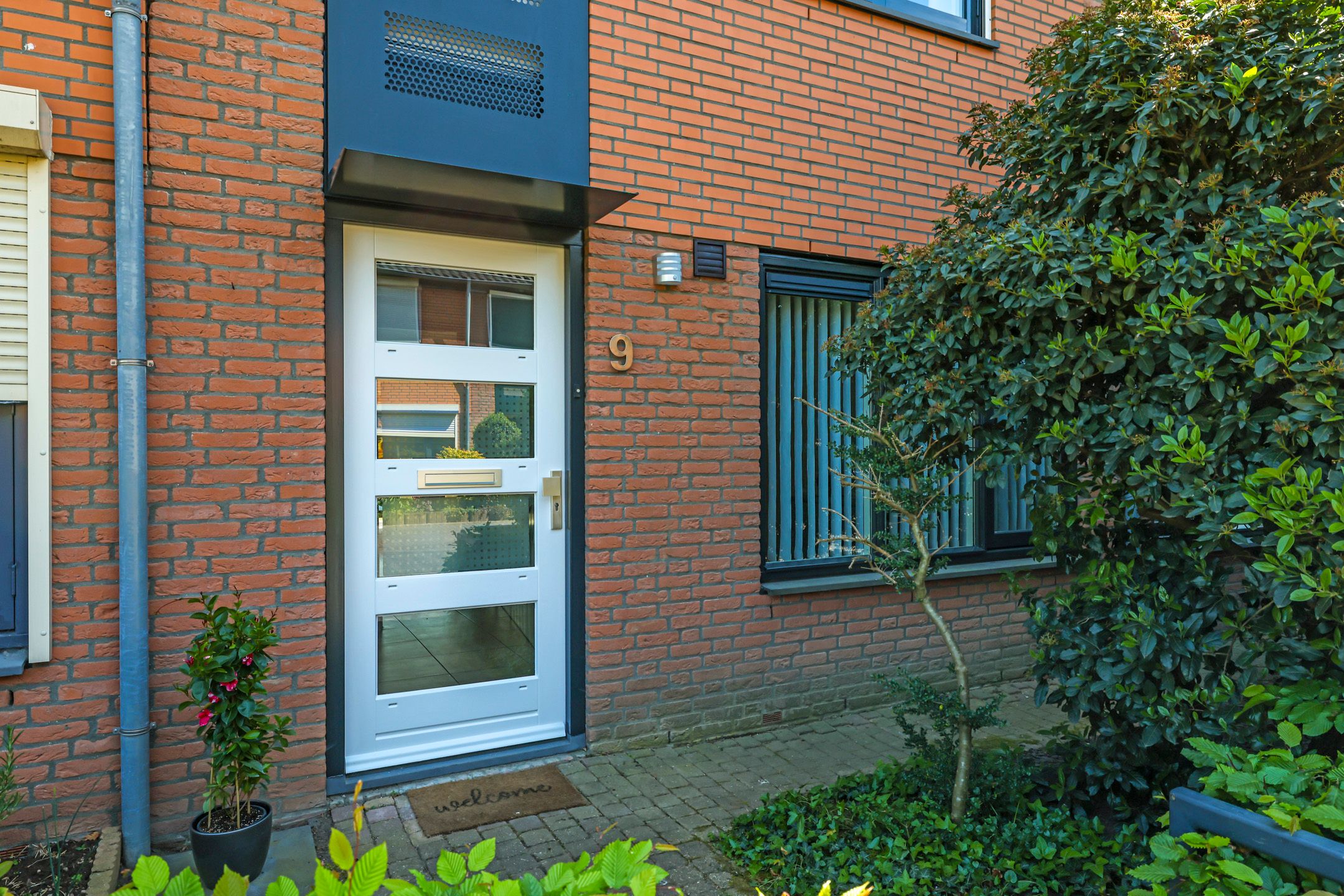 Foto 6 van De Dries 9