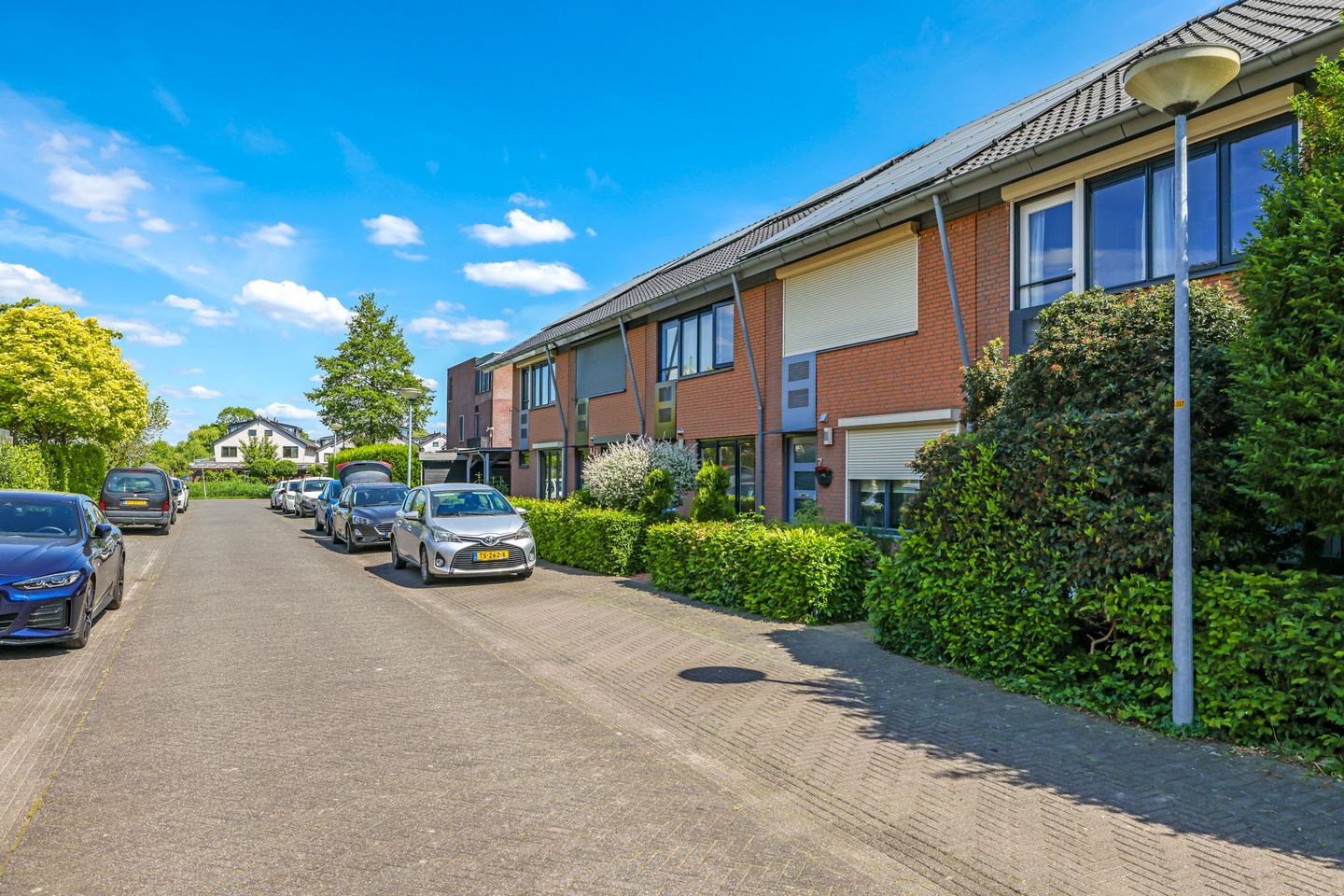 Foto 59 van De Dries 9