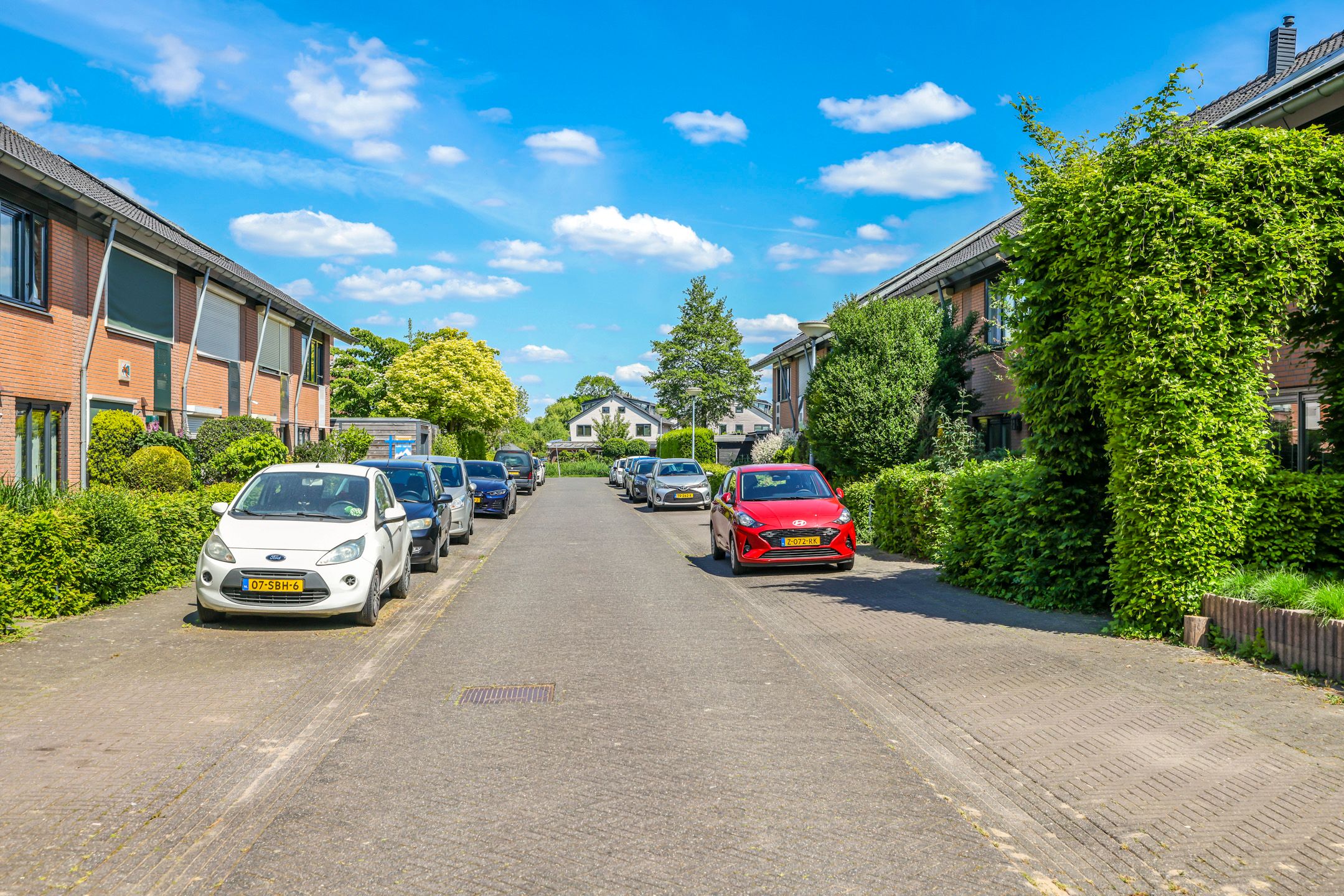 Foto 60 van De Dries 9