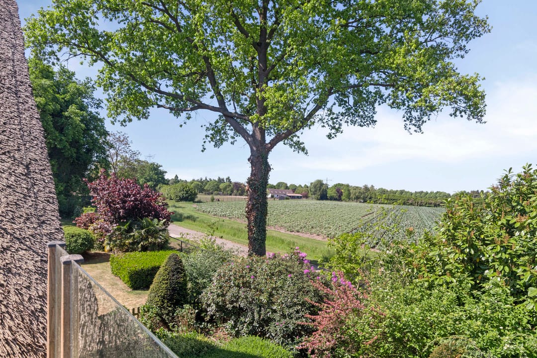 Photo 13 of Hooijdonkseweg 4