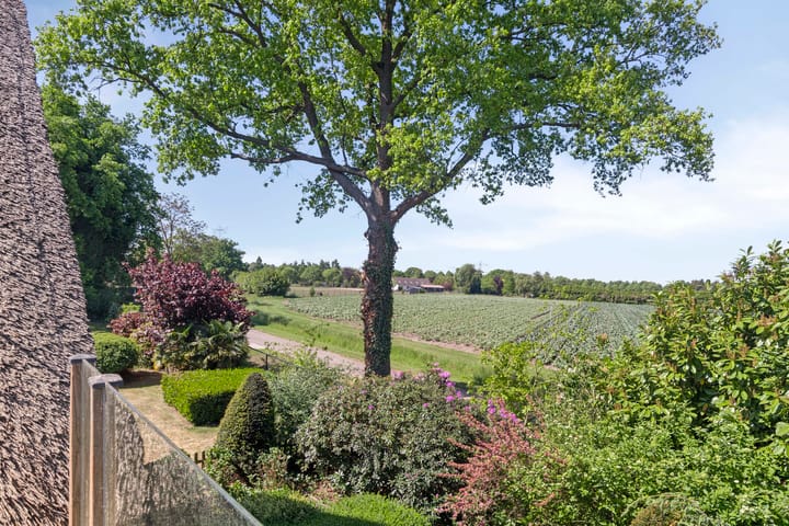 Photo 13 of Hooijdonkseweg 4