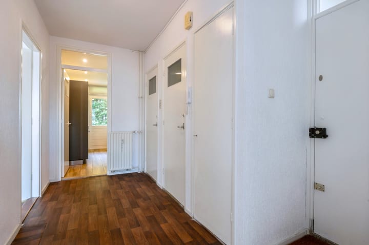 Foto 3 van Mankesstraat 67