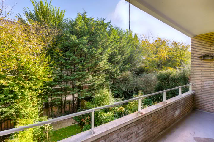 Foto 10 van Mankesstraat 67