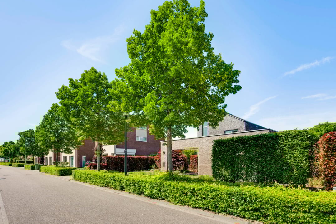 Photo 46 of Burgemeester Geurtslaan 36