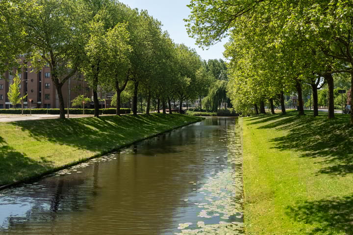 Foto 6 van Staalstraat 160