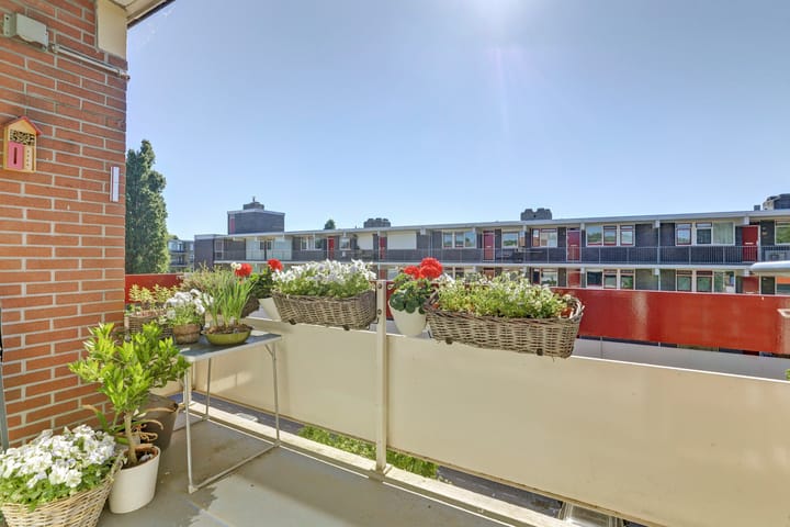 Foto 21 van Chrysantstraat 82