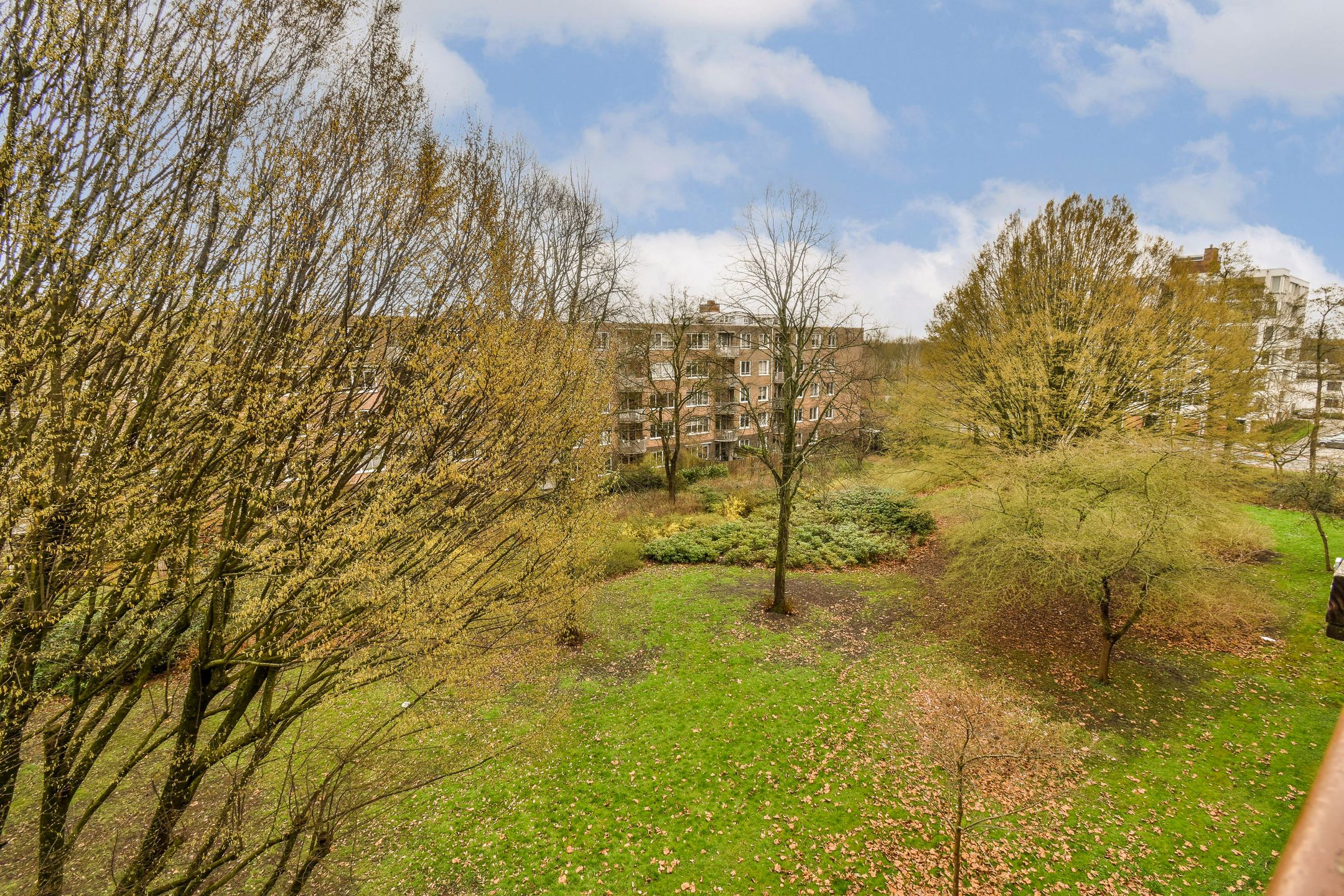 Photo 12 of Van Leijenberghlaan 391-4