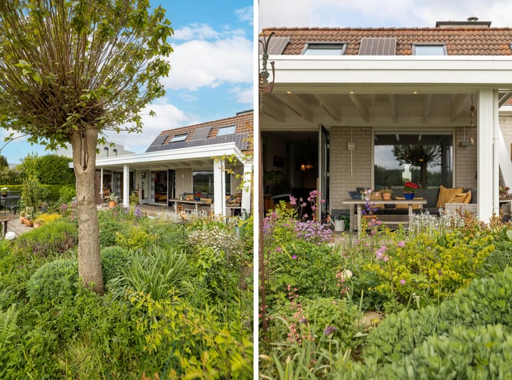 Foto 34 van Blauwe Reiger 26