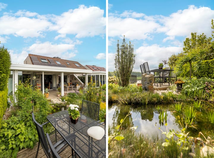 Foto 35 van Blauwe Reiger 26