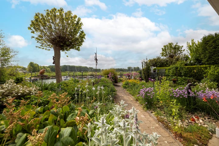 Foto 37 van Blauwe Reiger 26