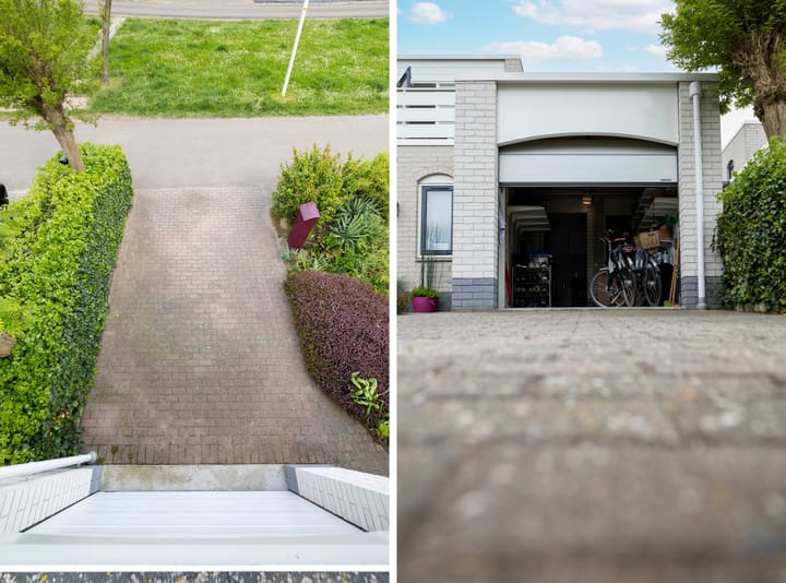 Foto 38 van Blauwe Reiger 26