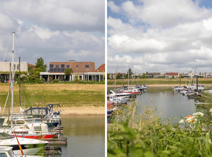 Foto 46 van Blauwe Reiger 26