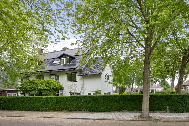 Foto 52 van Prins Mauritslaan 60