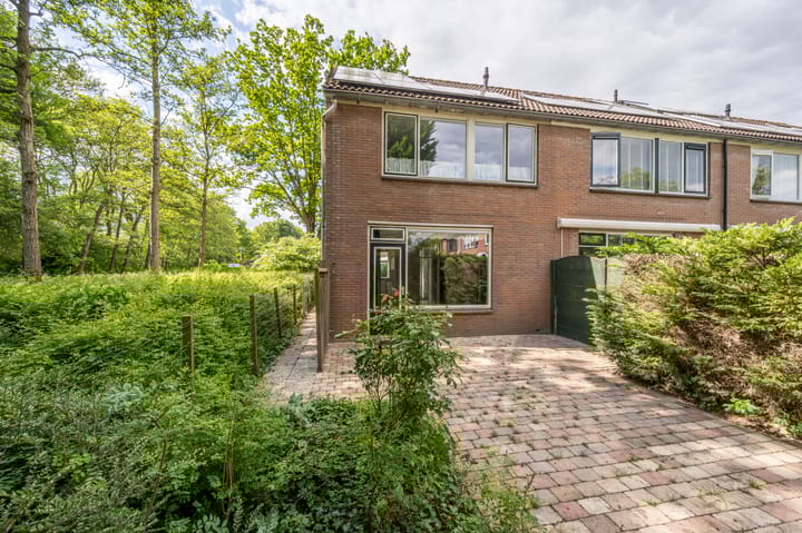 Foto 2 van Paltrok 27