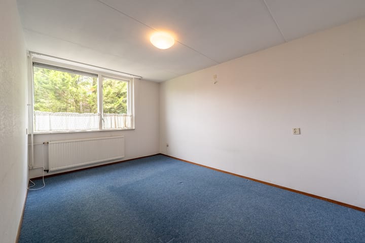 Photo 13 of Paltrok 27