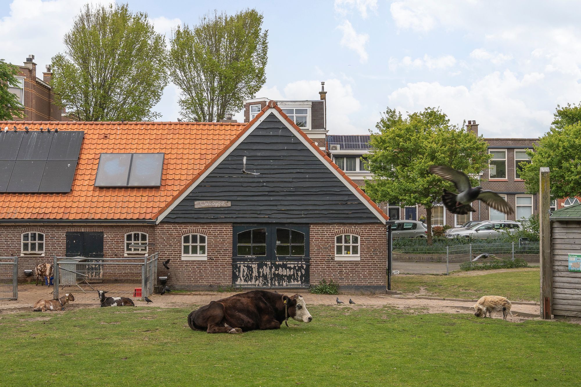 Photo 45 of Marcelisstraat 100