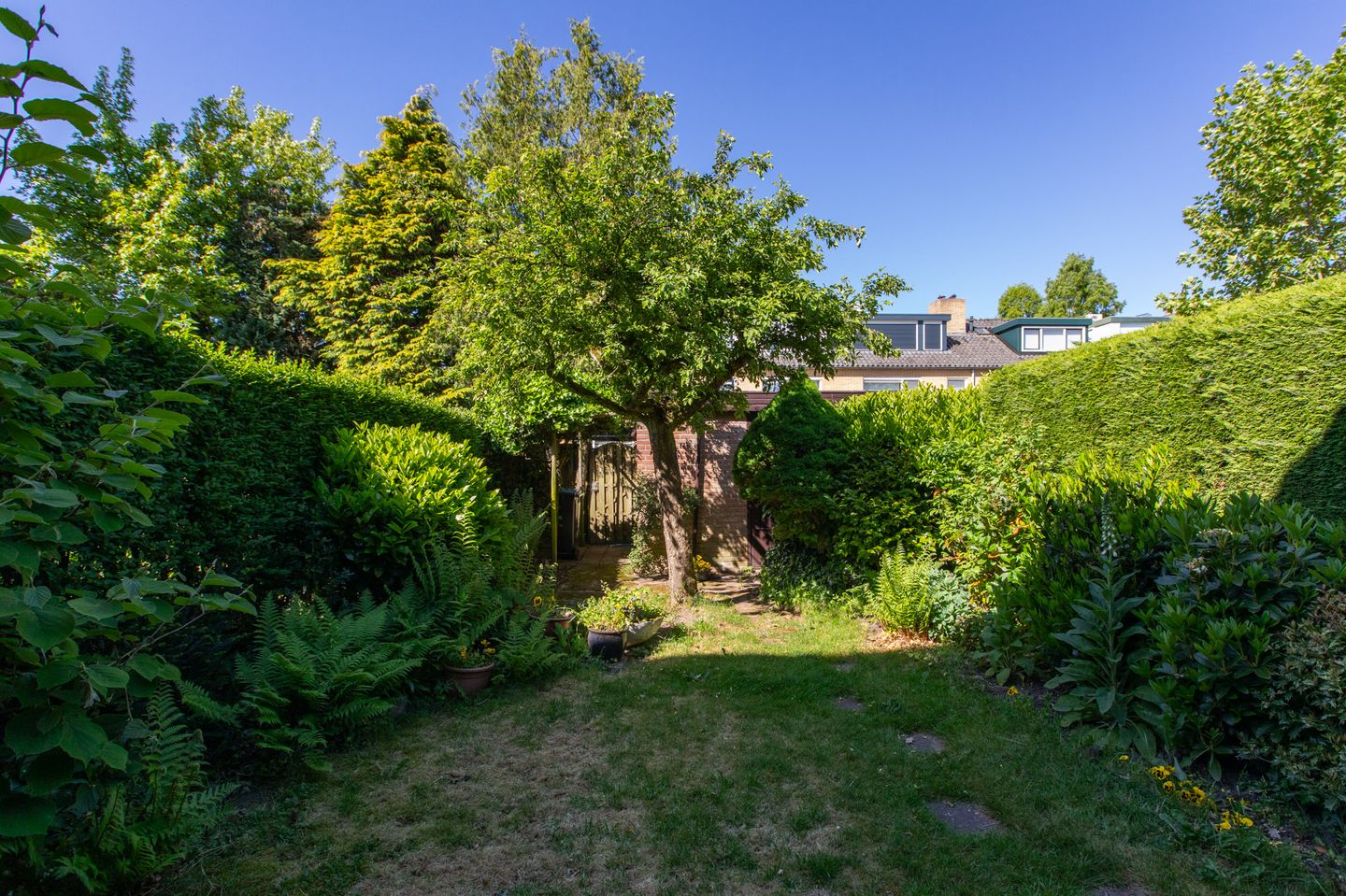 Foto 4 van Mauritiusstraat 22