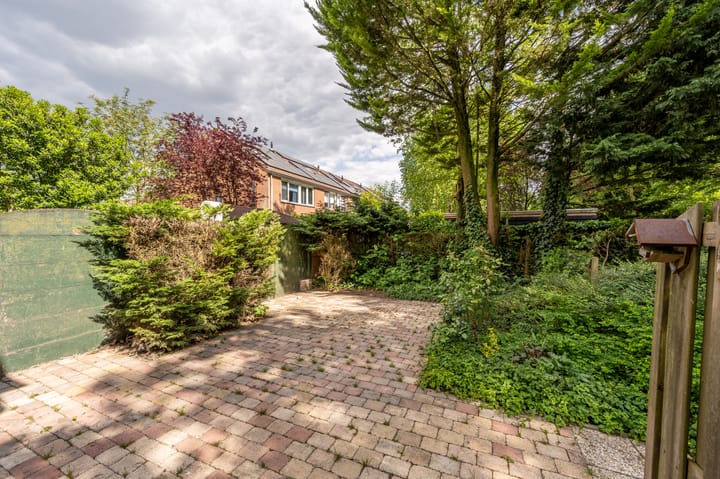 Photo 23 of Paltrok 27