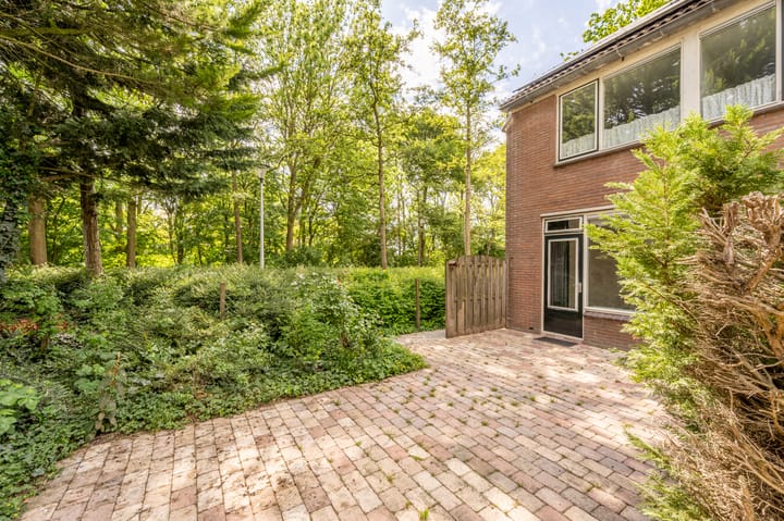 Photo 24 of Paltrok 27