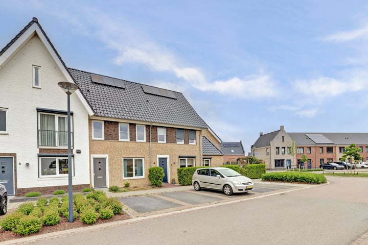Duinbeek 3