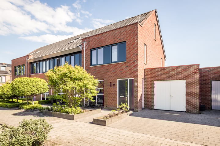 Photo 1 of Scholekster 7