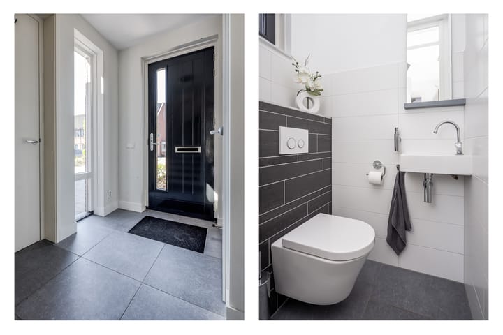 Photo 6 of Scholekster 7